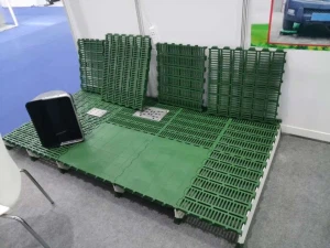 Pig Farm Farrowing Crate Construction Bruk gulv